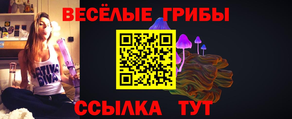 Фролово  Галлюциногенные грибы GOLDEN TEACHER  Псилоцибиновые грибы MAGIC MUSHROOMS  Вход с VPN 